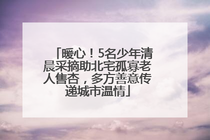 暖心！5名少年清晨采摘助北宅孤寡老人售杏，多方善意传递城市温情