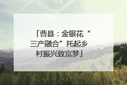 曹县：金银花“三产融合”托起乡村振兴致富梦