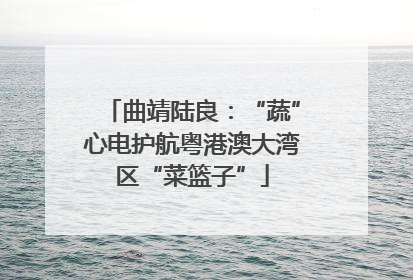 曲靖陆良：“蔬”心电护航粤港澳大湾区“菜篮子”