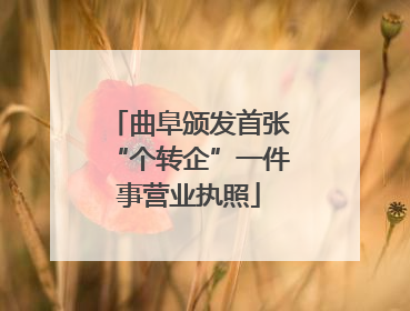 曲阜颁发首张“个转企”一件事营业执照