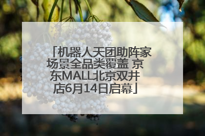 机器人天团助阵家场景全品类覆盖 京东MALL北京双井店6月14日启幕