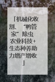 机械化收割、“鸭管家”除虫 农业科技+生态种养助力增产增收