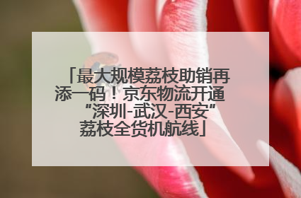 最大规模荔枝助销再添一码！京东物流开通“深圳-武汉-西安” 荔枝全货机航线