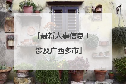 最新人事信息！涉及广西多市