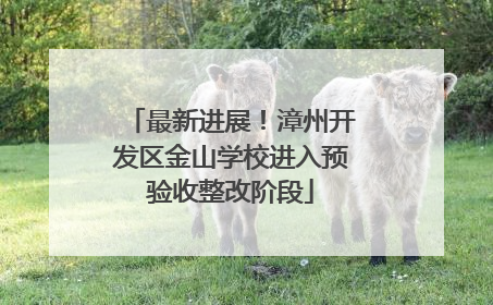最新进展！漳州开发区金山学校进入预验收整改阶段