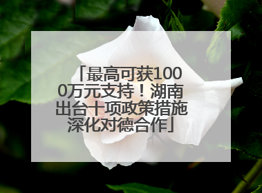 最高可获1000万元支持！湖南出台十项政策措施深化对德合作