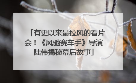 有史以来最拉风的看片会！《风驰赛车手》导演陆伟揭秘幕后故事