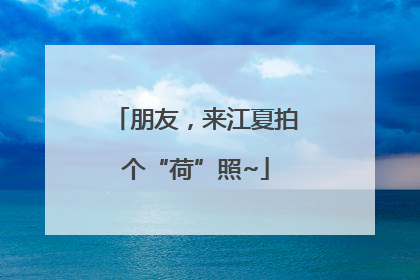 朋友，来江夏拍个“荷”照~