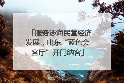 服务涉海民营经济发展，山东“蓝色会客厅”开门纳客