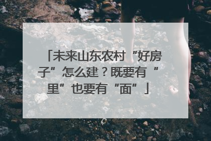 未来山东农村“好房子”怎么建？既要有“里”也要有“面”