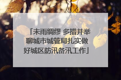 未雨绸缪 多措并举 聊城市城管局扎实做好城区防汛备汛工作