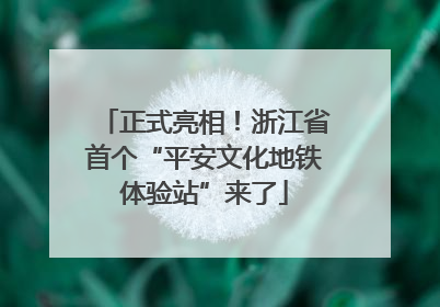 正式亮相！浙江省首个“平安文化地铁体验站”来了