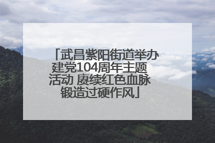 武昌紫阳街道举办建党104周年主题活动 赓续红色血脉锻造过硬作风