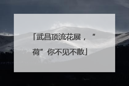 武昌顶流花展，“荷”你不见不散