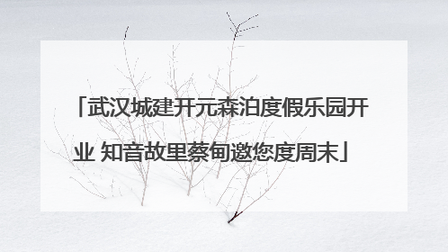 武汉城建开元森泊度假乐园开业 知音故里蔡甸邀您度周末