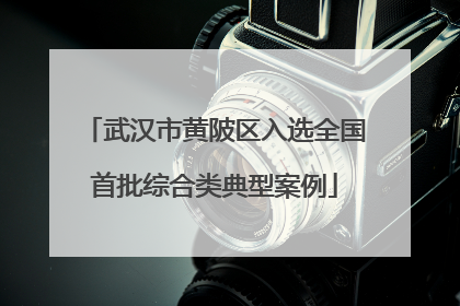 武汉市黄陂区入选全国首批综合类典型案例