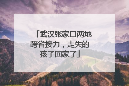 武汉张家口两地跨省接力，走失的孩子回家了