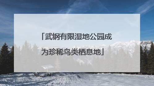武钢有限湿地公园成为珍稀鸟类栖息地