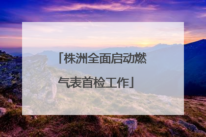 株洲全面启动燃气表首检工作