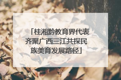 桂湘黔教育界代表齐聚广西三江共探民族美育发展路径