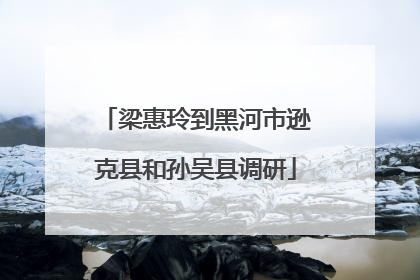 梁惠玲到黑河市逊克县和孙吴县调研