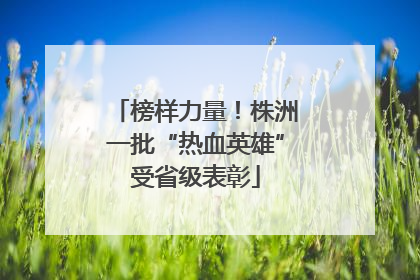 榜样力量！株洲一批“热血英雄”受省级表彰