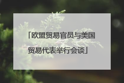 欧盟贸易官员与美国贸易代表举行会谈