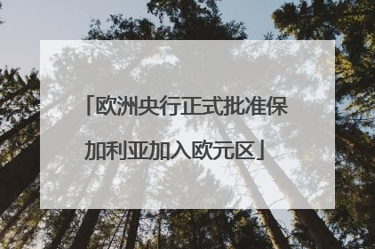 欧洲央行正式批准保加利亚加入欧元区