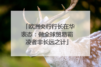 欧洲央行行长在华表态：做全球贸易霸凌者非长远之计