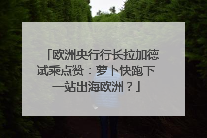 欧洲央行行长拉加德试乘点赞：萝卜快跑下一站出海欧洲？