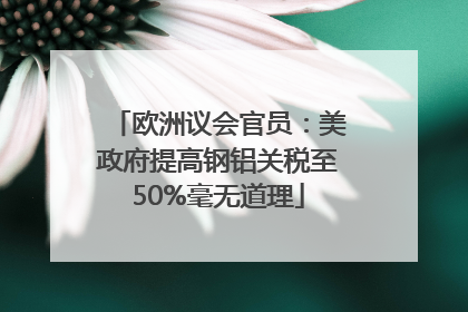 欧洲议会官员：美政府提高钢铝关税至50%毫无道理
