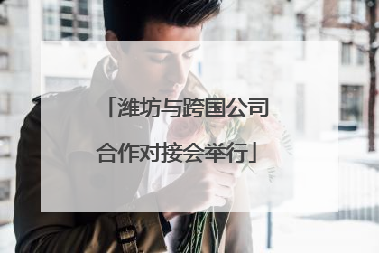 潍坊与跨国公司合作对接会举行