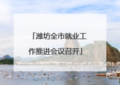 潍坊全市就业工作推进会议召开