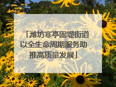潍坊寒亭固堤街道以全生命周期服务助推高质量发展