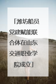 潍坊船员党建赋能联合体在山东交通职业学院成立