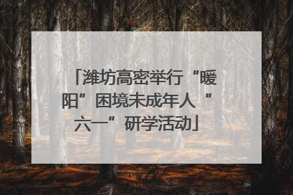 潍坊高密举行“暖阳”困境未成年人“六一”研学活动