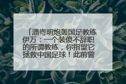 潘粤明炮轰国足教练伊万：一个装傻不辞职的所谓教练，你指望它拯救中国足球！此前曾多次发文评价国足