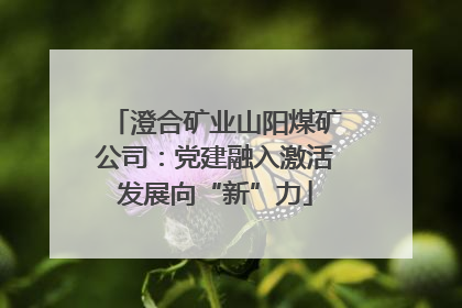 澄合矿业山阳煤矿公司：党建融入激活发展向“新”力