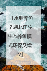 水塘养鱼？湖北江陵生态养鱼模式环保又增收