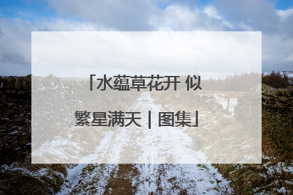 水蕴草花开 似繁星满天｜图集