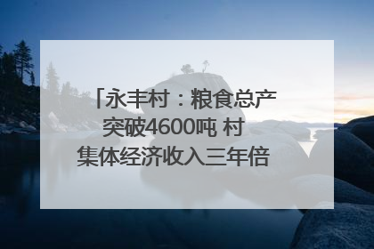 永丰村：粮食总产突破4600吨 村集体经济收入三年倍增｜牵挂的村