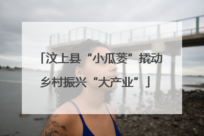 汶上县“小瓜蒌”撬动乡村振兴“大产业”
