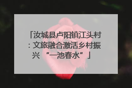 汝城县卢阳镇江头村：文旅融合激活乡村振兴 “一池春水”