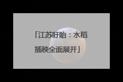 江苏盱眙：水稻插秧全面展开