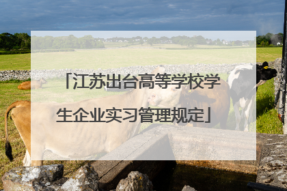 江苏出台高等学校学生企业实习管理规定