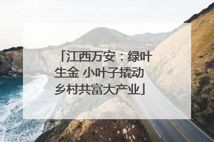 江西万安：绿叶生金 小叶子撬动乡村共富大产业