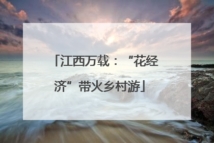 江西万载：“花经济”带火乡村游