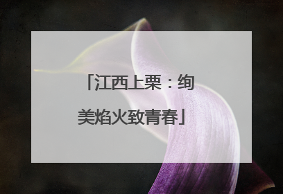 江西上栗：绚美焰火致青春
