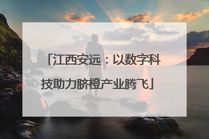 江西安远：以数字科技助力脐橙产业腾飞