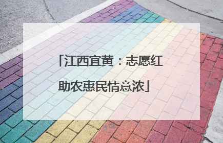 江西宜黄：志愿红助农惠民情意浓